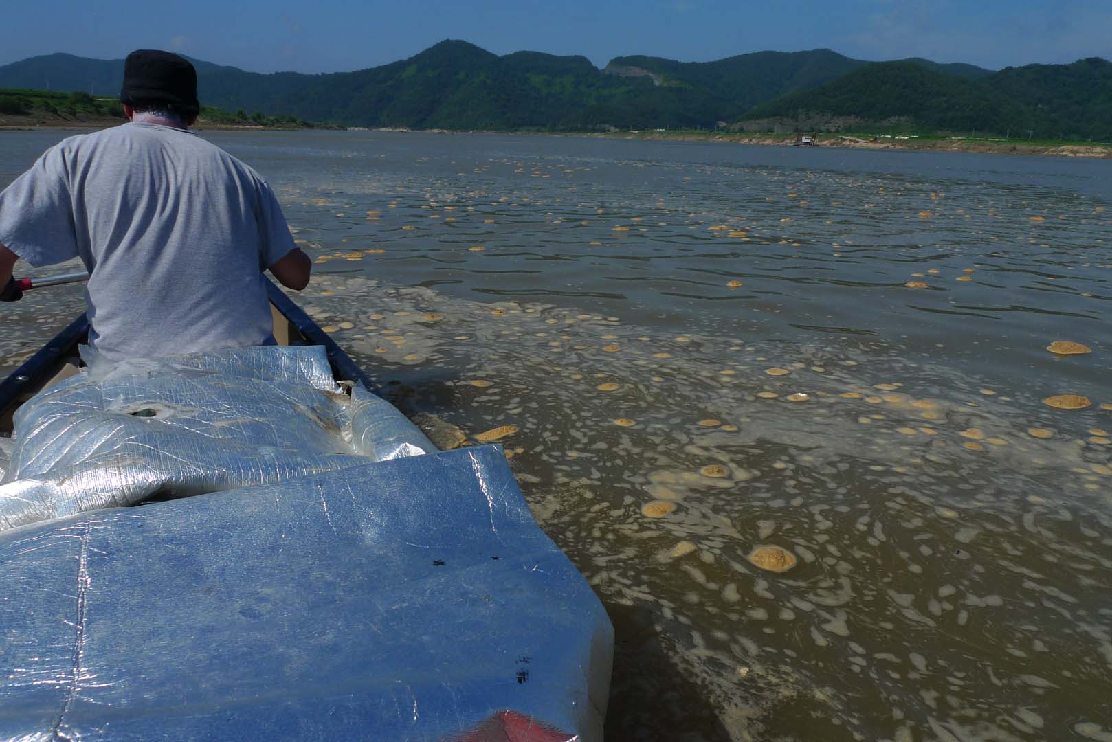 picture from the canoe showing the polution in the water