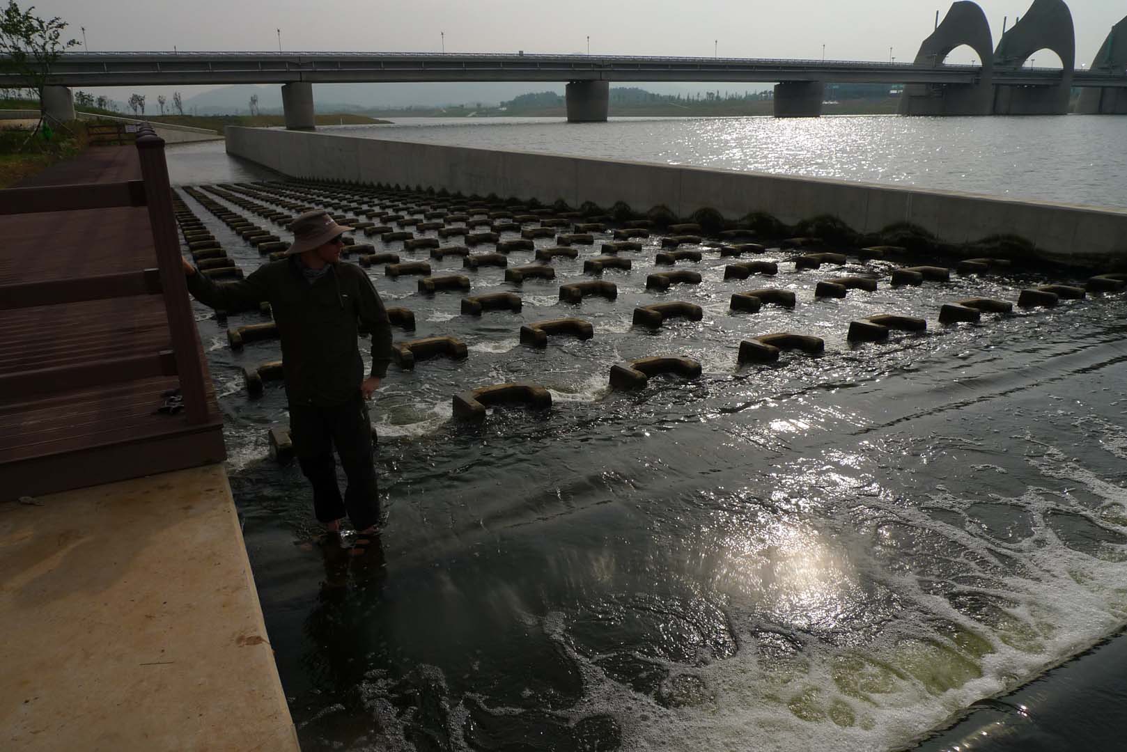 fish ladder used to allow fish to go up stream