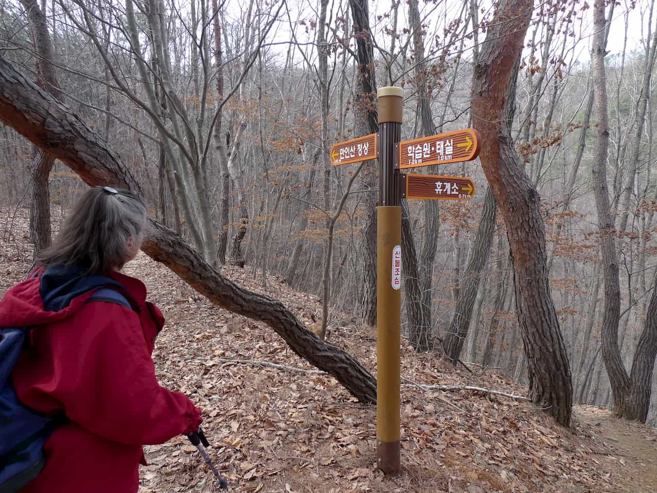 picture of a trail navigation post